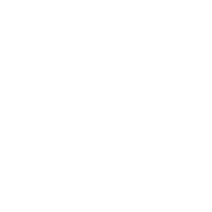 execution icon