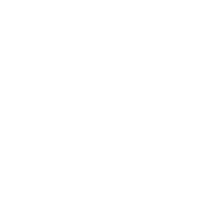 timely icon